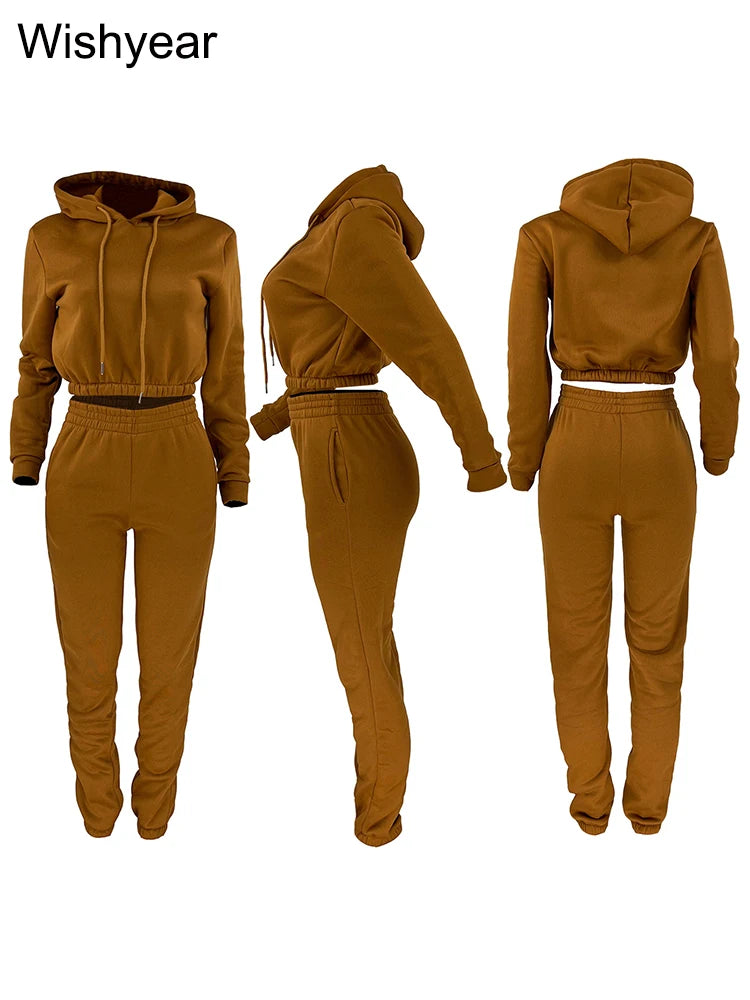 Casual Sports Wear Two Piece Set for Women Velvet Sweatshirt Hoodie Crop Top and Leggings Pants Suit Female WarmWinter Outfits
