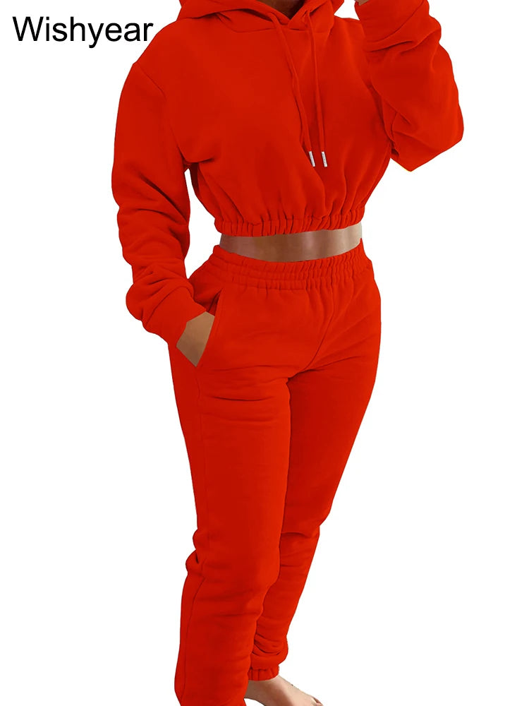 Casual Sports Wear Two Piece Set for Women Velvet Sweatshirt Hoodie Crop Top and Leggings Pants Suit Female WarmWinter Outfits