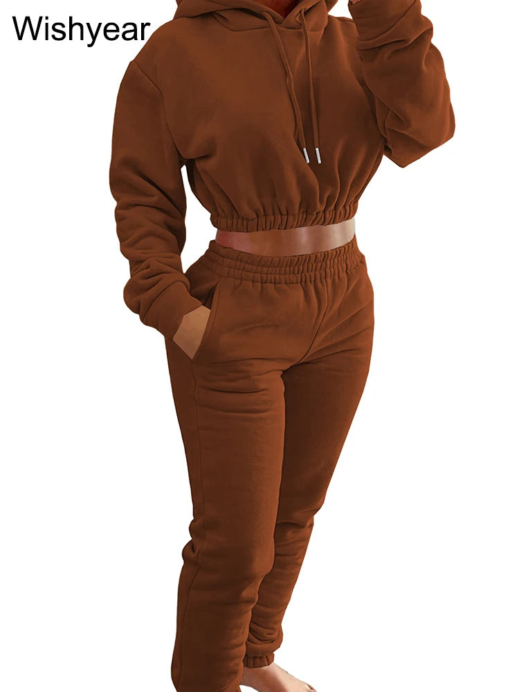 Casual Sports Wear Two Piece Set for Women Velvet Sweatshirt Hoodie Crop Top and Leggings Pants Suit Female WarmWinter Outfits