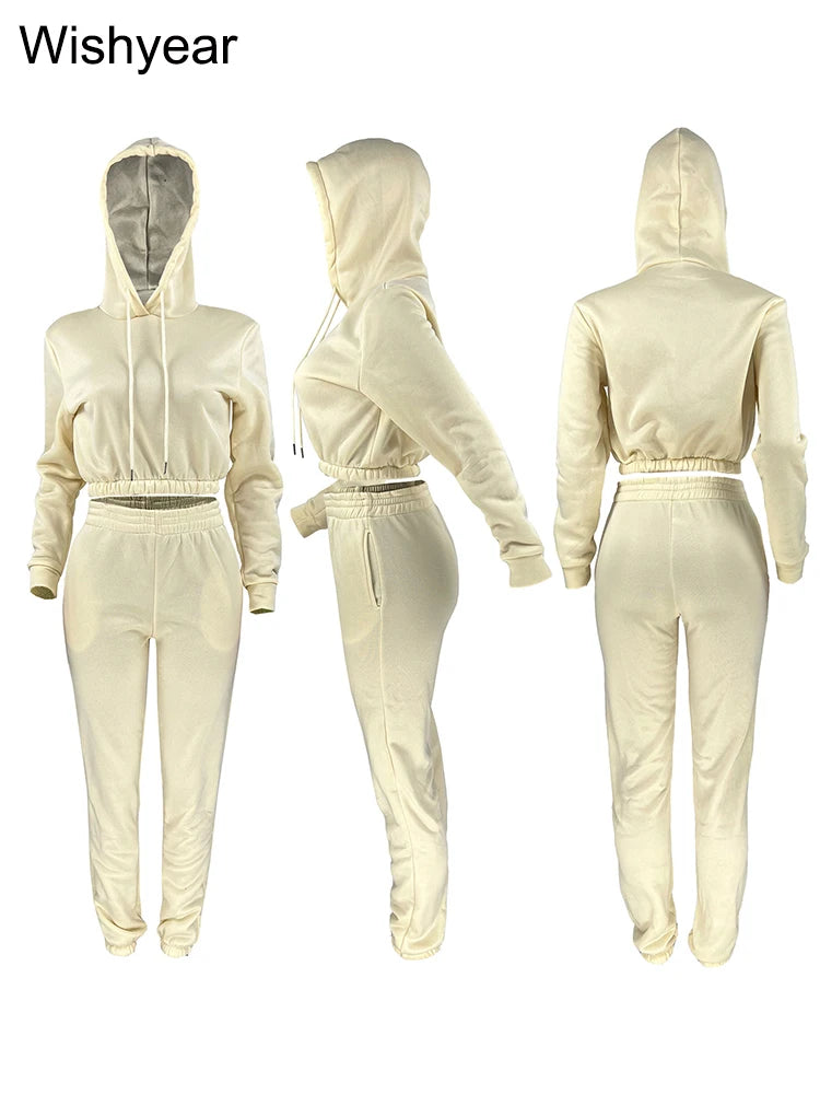 Casual Sports Wear Two Piece Set for Women Velvet Sweatshirt Hoodie Crop Top and Leggings Pants Suit Female WarmWinter Outfits